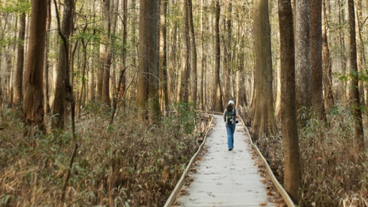 December 7 | Congaree National Park (ADULTS)